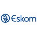 Eskom copy