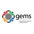 GEMS copy
